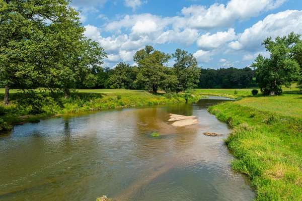Celesta skincare : des soins précis pour peaux sensibles